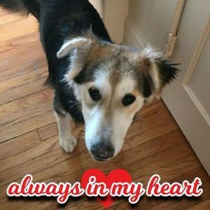 Meet your Posher, Brittnee