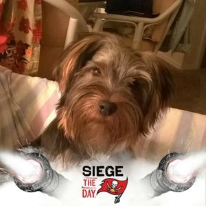 Meet your Posher, Mandy