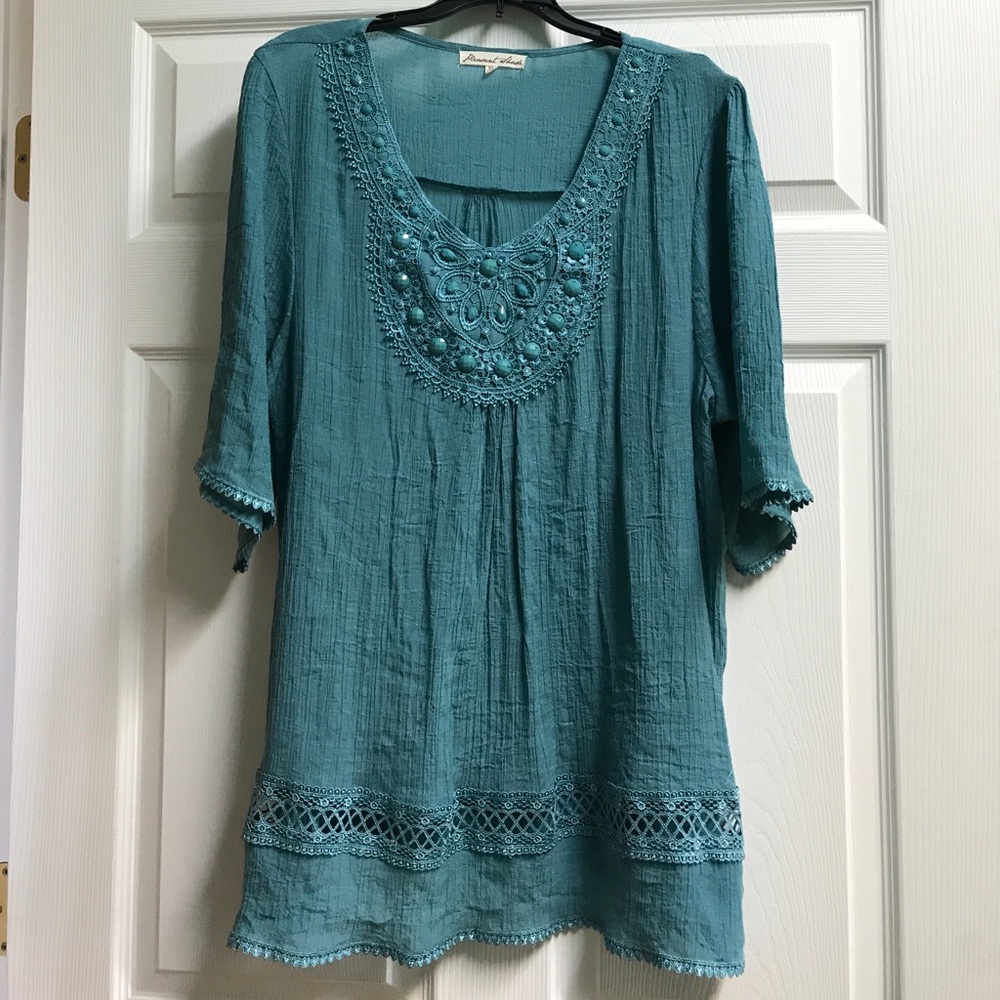 Pleasant shade tunic blouse