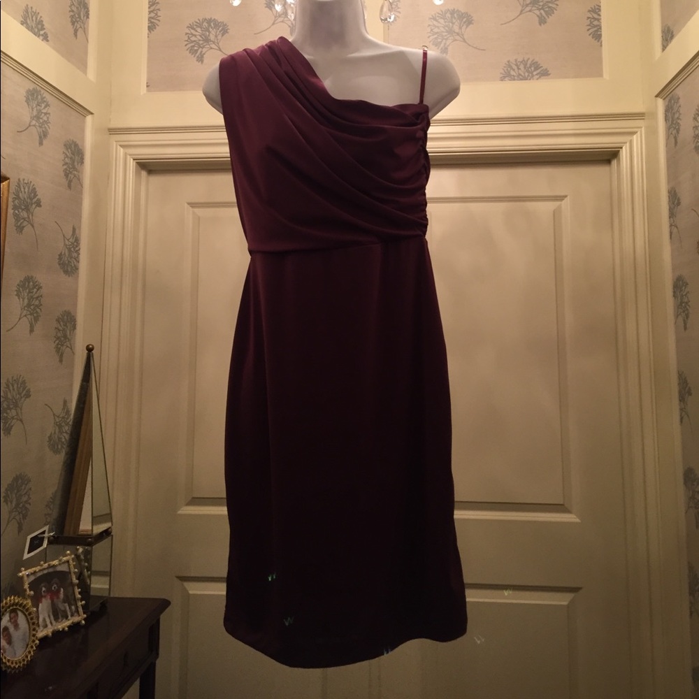 The Limited Dress