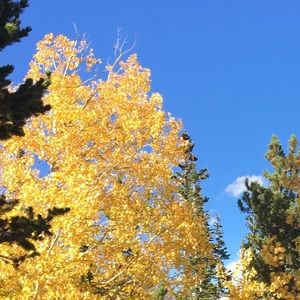 Meet your Posher, Hailey