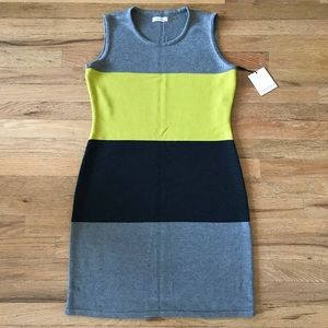 NWT knitted color block dress