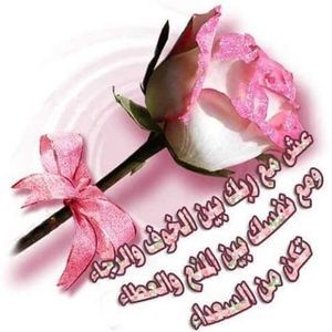 Meet your Posher, Ilhamsmail