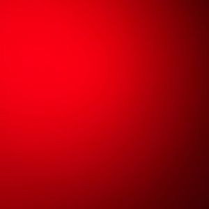 Meet your Posher, Reece