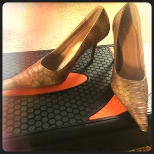 Pointy toe Nude Heels