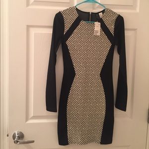 Final price ✨NWT H&M BODYCON DRESS 💕