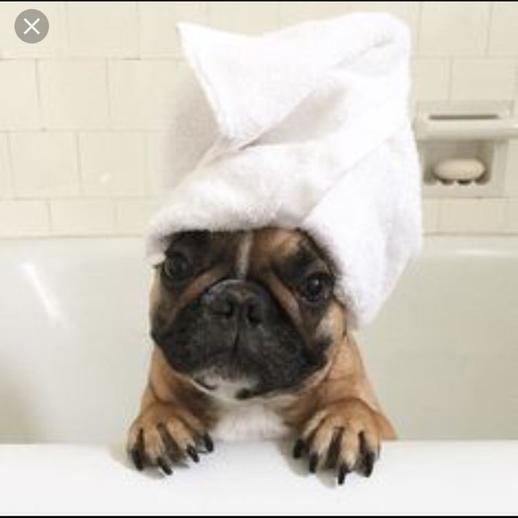 Meet Richie - Picture 1 of 1