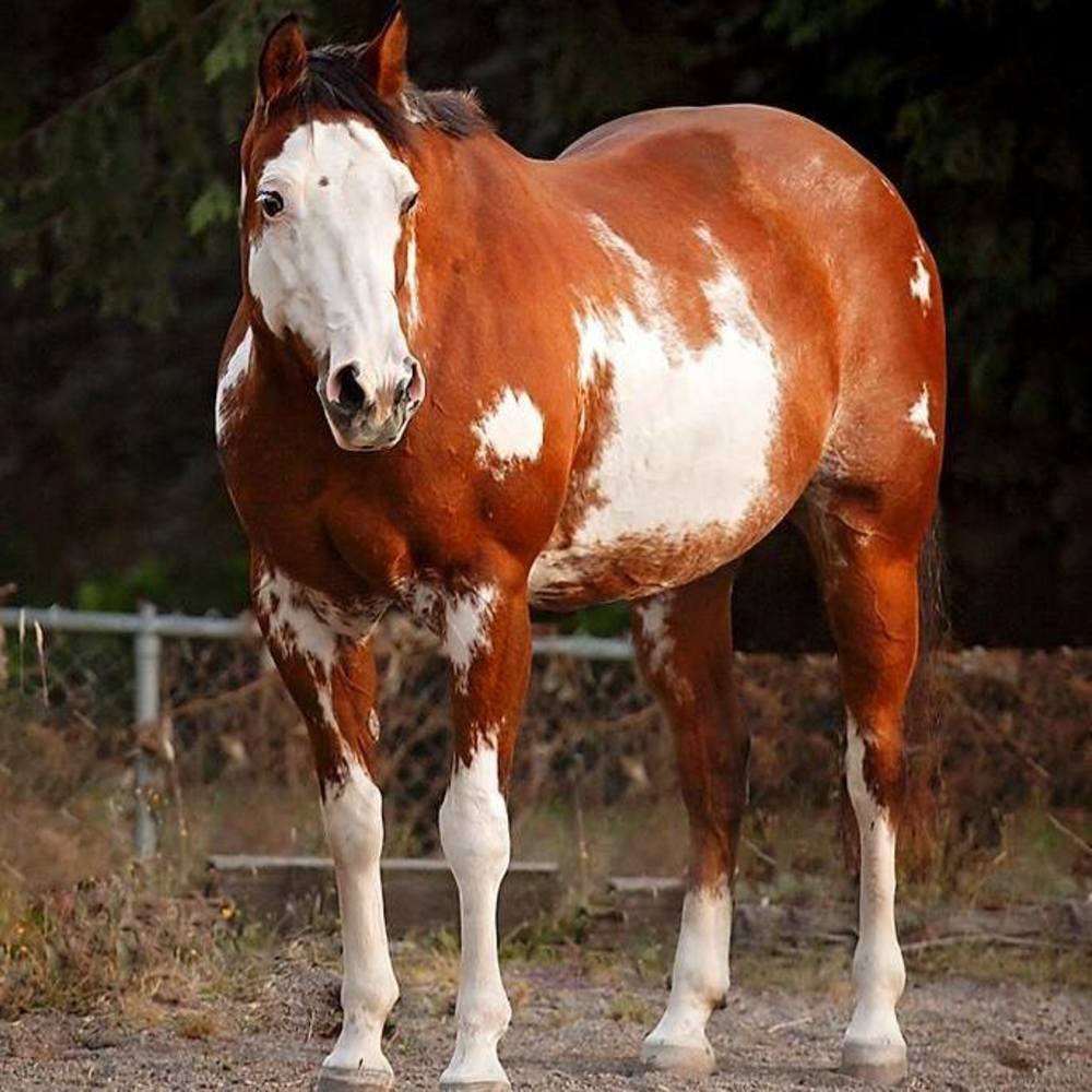 Meet your Posher, Noelle