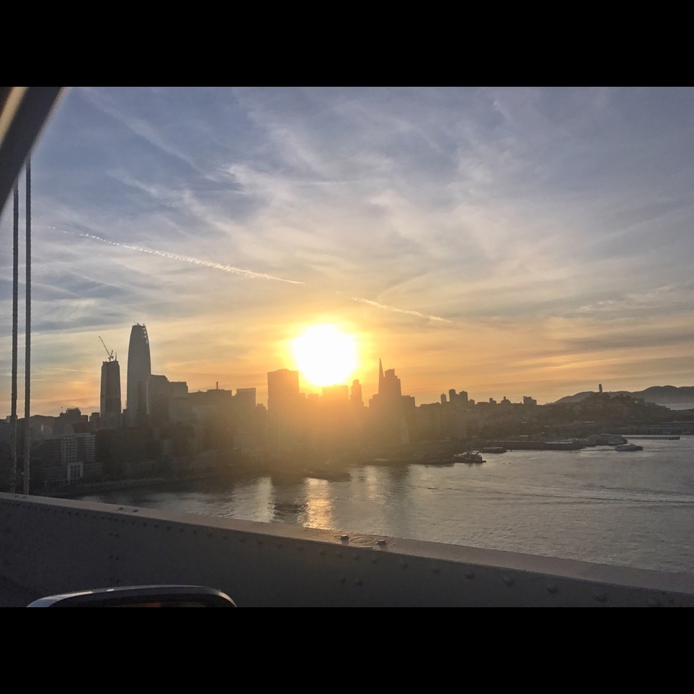 Meet your Posher, Molly