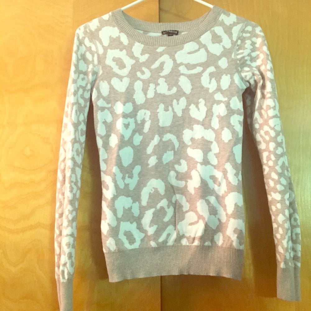 Brand new Express sweater