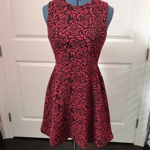 NWOT Rose fit & flare dress