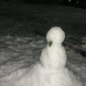 Meet your Posher, Abby