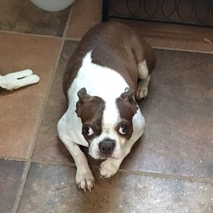 Meet your Posher, Sue