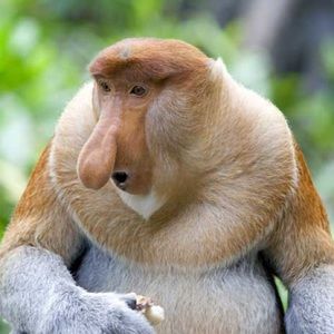 Meet your Posher, Noah