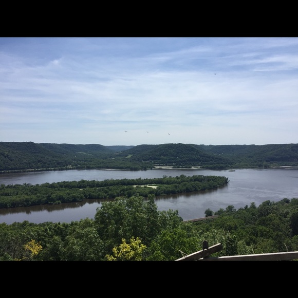 Meet your posher, Anne! - Picture 4 of 4