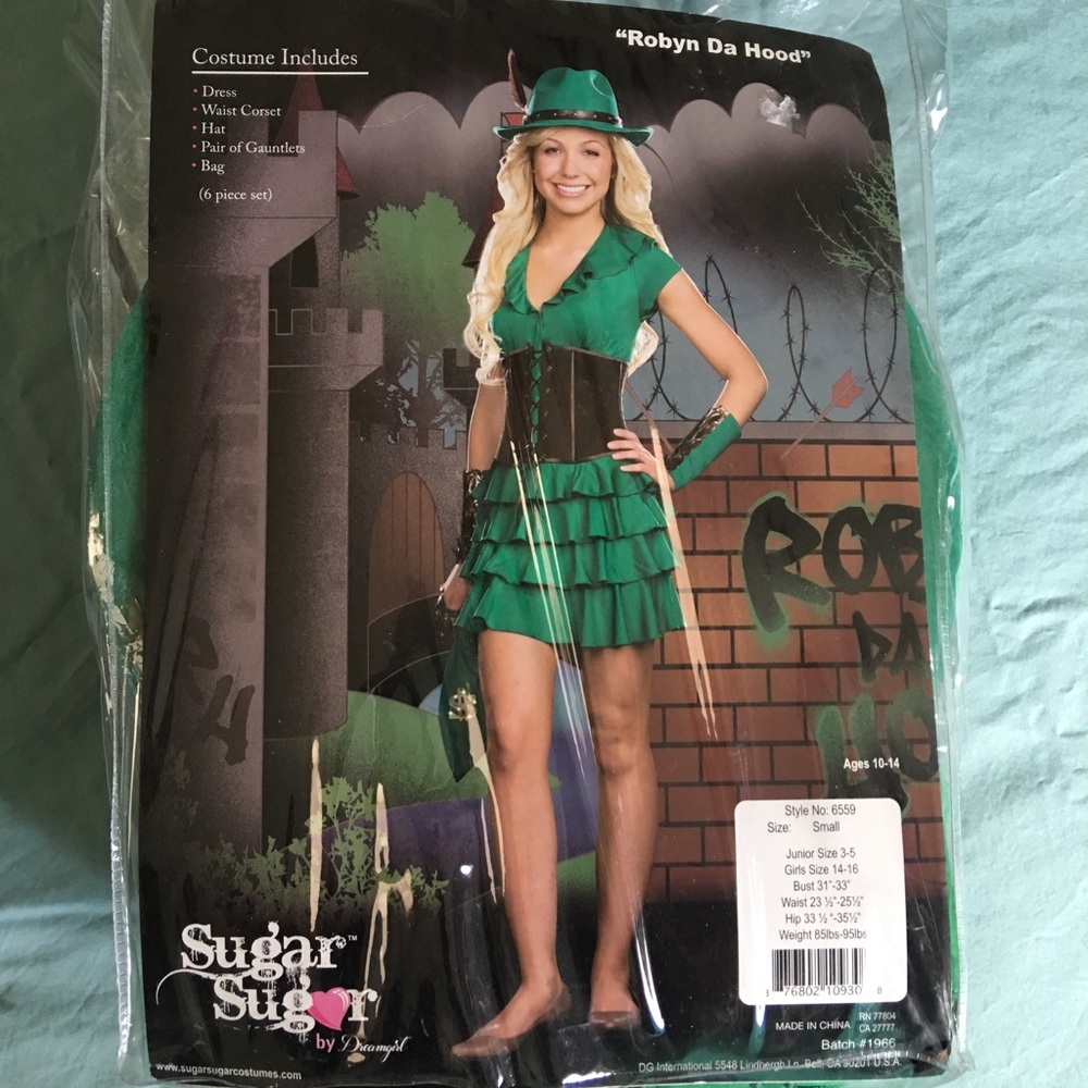 Robyn da hood costume