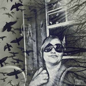 Meet your Posher, Stephenie