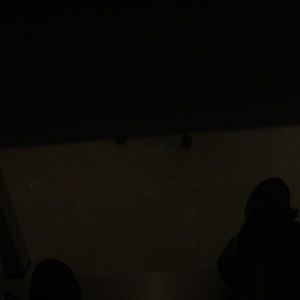 Meet your Posher, Rishard