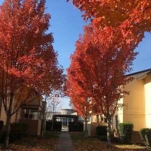 Meet your Posher, Kaur