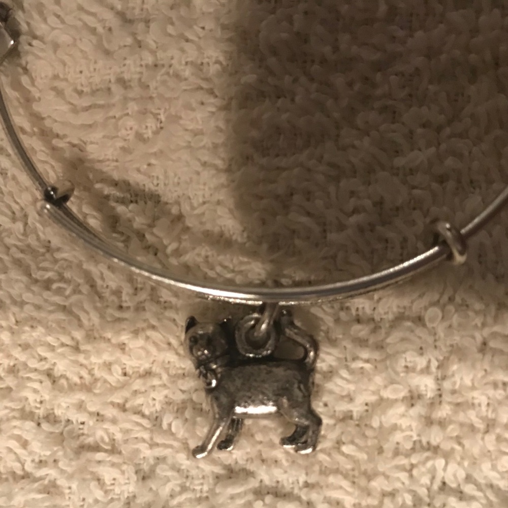 Alex and Ani Bracelets. 3 for $10!