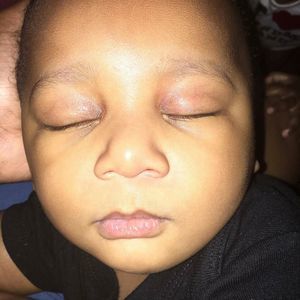 Meet your Posher, Shakhan