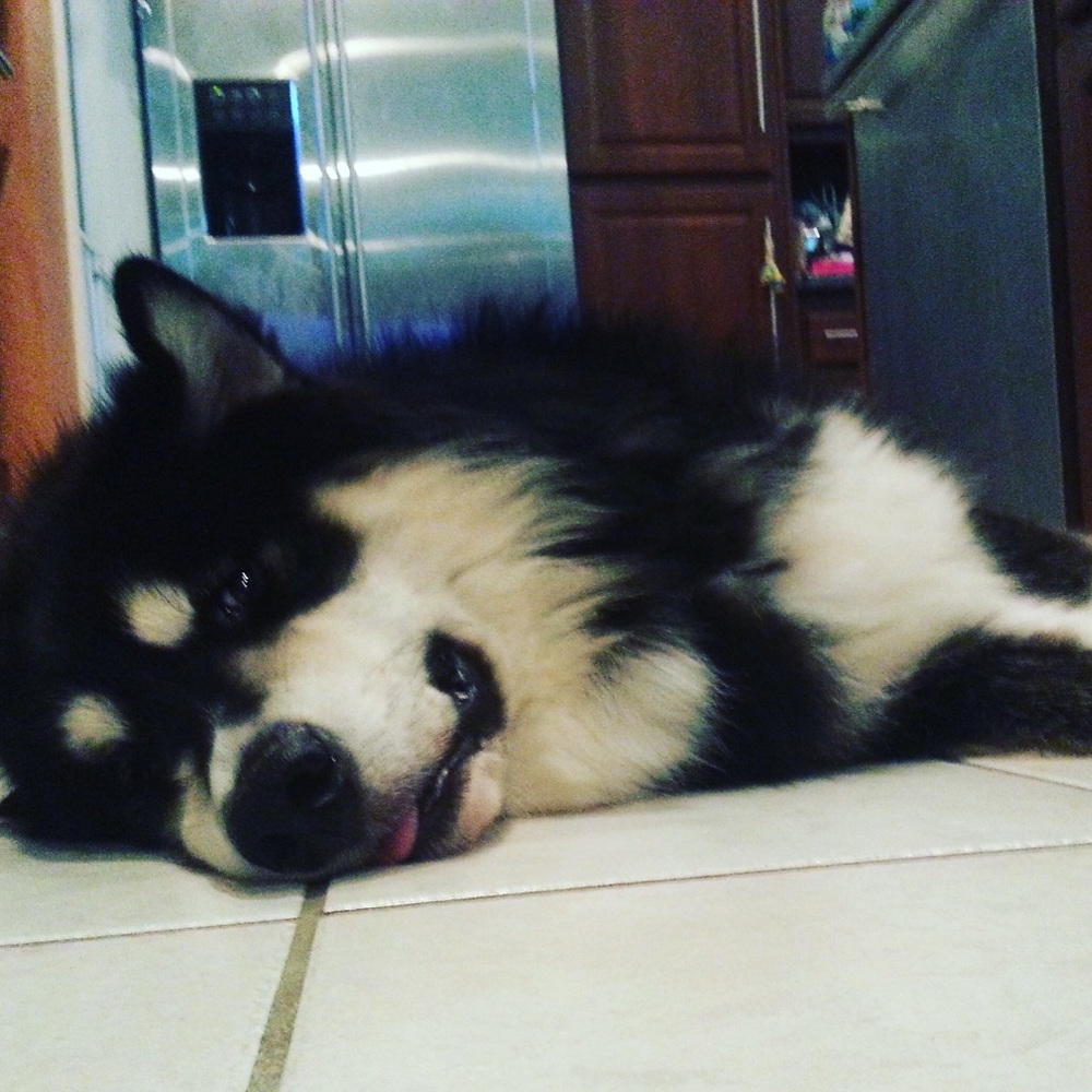 Meet your Posher, Mara