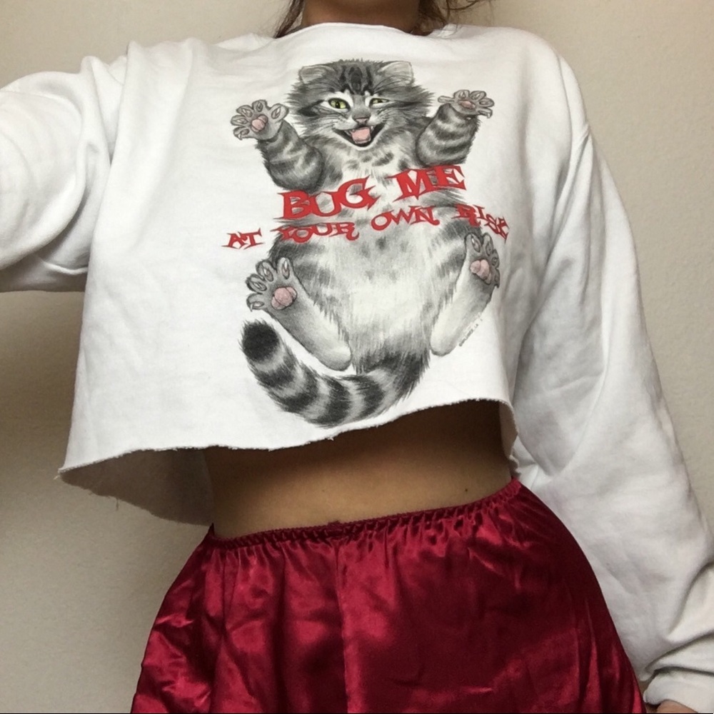 Bug Me Kitty Cropped Sweater