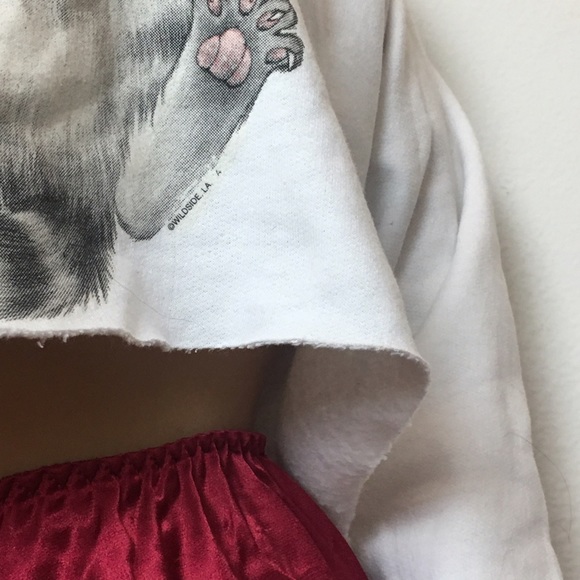 Bug Me Kitty Cropped Sweater - Picture 4 of 4