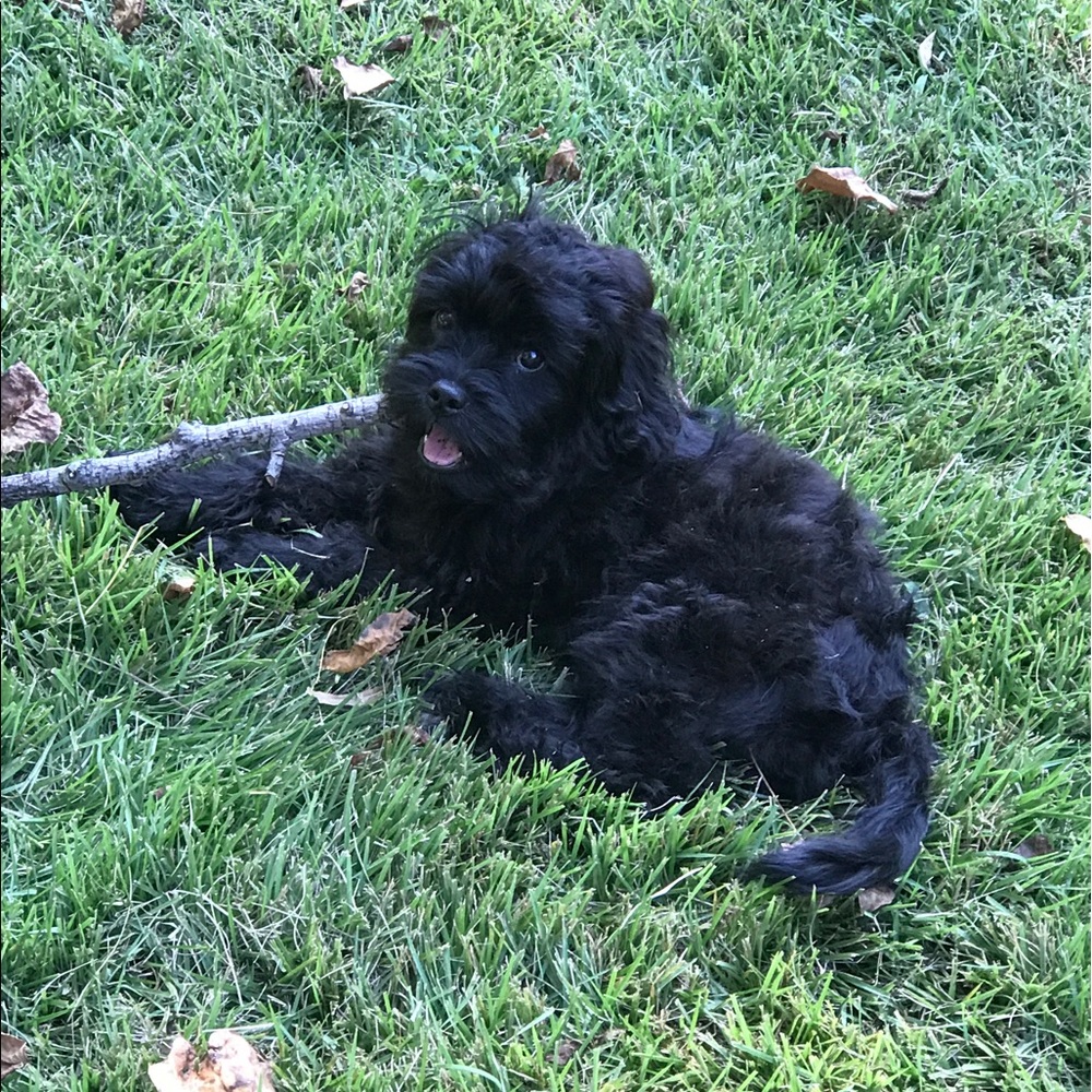 Meet your Posher, Erica