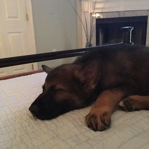 Meet your Posher, Crystal