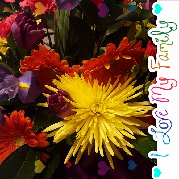 Meet your Posher, Lora - Picture 1 of 1