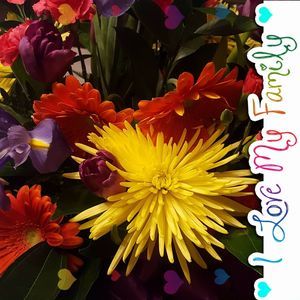 Meet your Posher, Lora