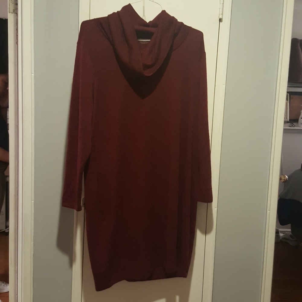 Scoop Turtleneck Dress