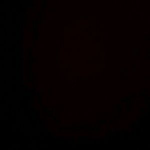 Meet your Posher, Phillip