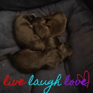 Meet your Posher, Bernadette