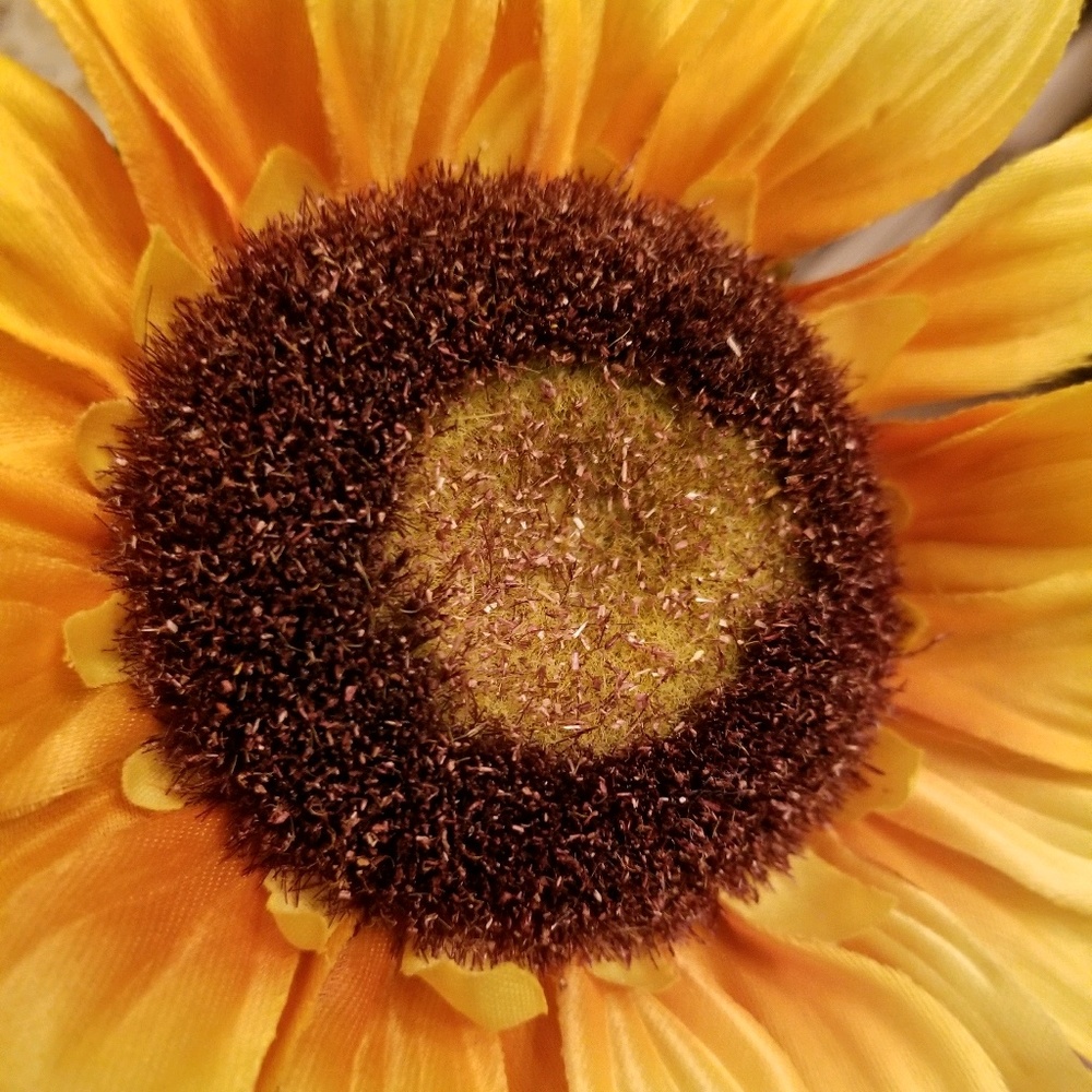 Meet your Posher, Nadege