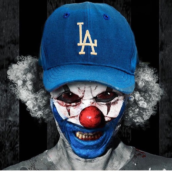 Meet your Posher, Malo - Picture 1 of 1