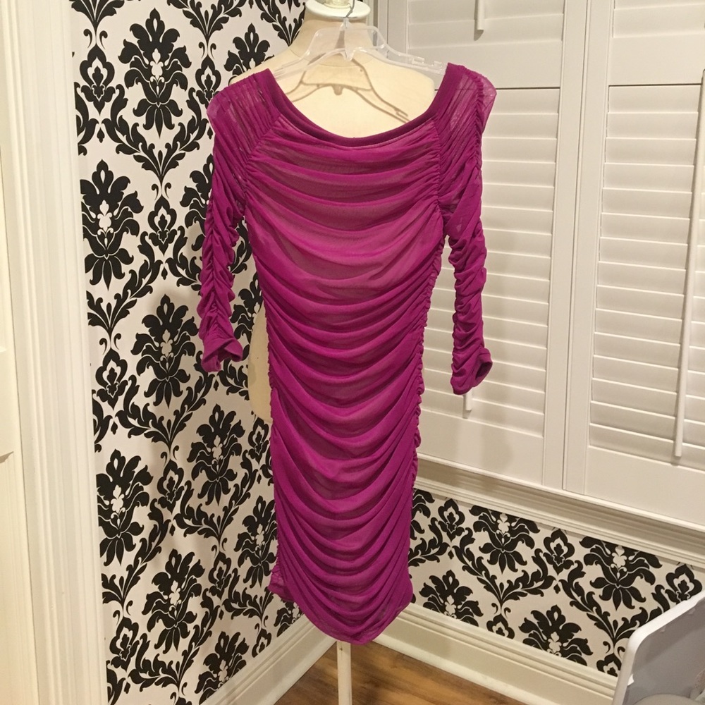 Sheer Fuchsia Dress SZ SM