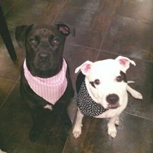 Meet your Posher, Acacia