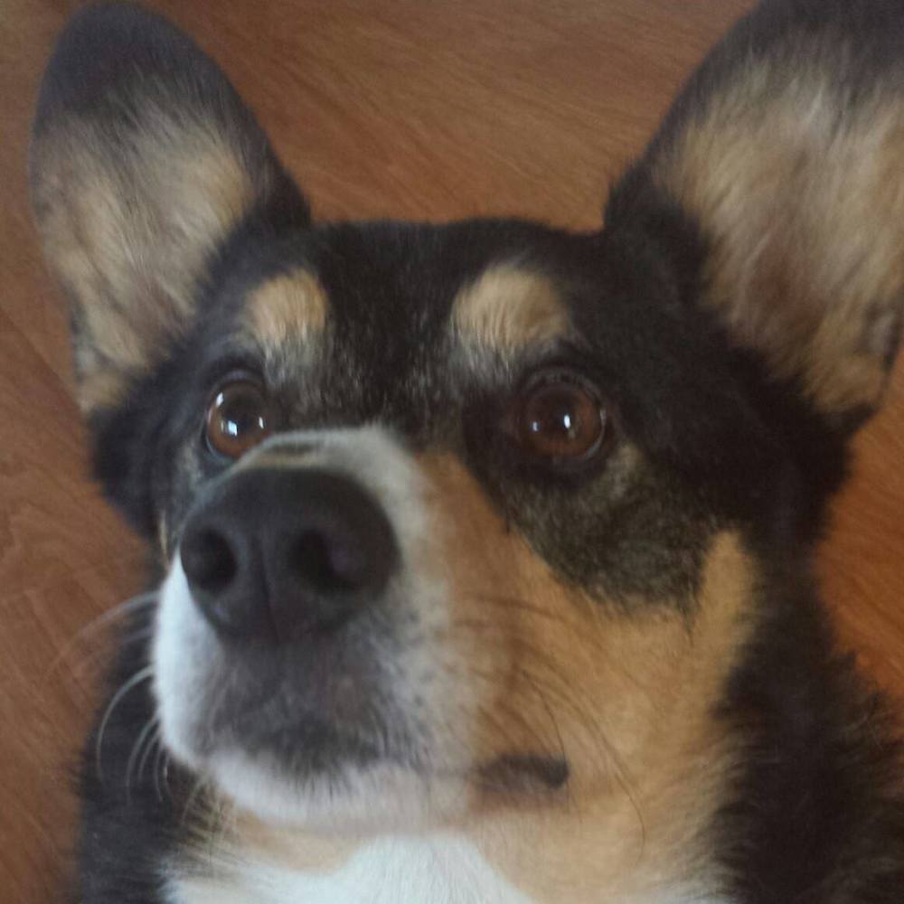 Meet your Posher, Lynne