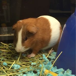 Meet your Posher, Colton