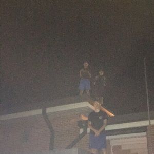 Meet your Posher, Jake