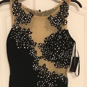 Evening Mesh Black & Nude Dress