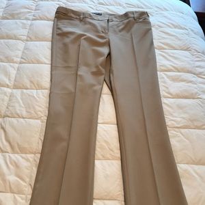 Express columnist Dress Pants