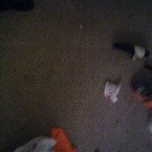 Meet your Posher, Louis