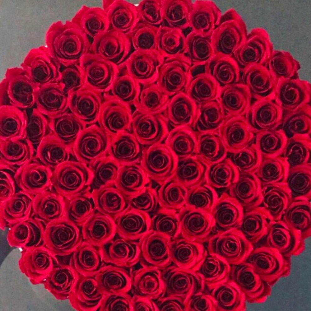 Meet your Posher, Milena