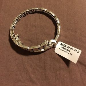 Alex and Ani bracelet
