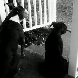 Meet your Posher, Marlon