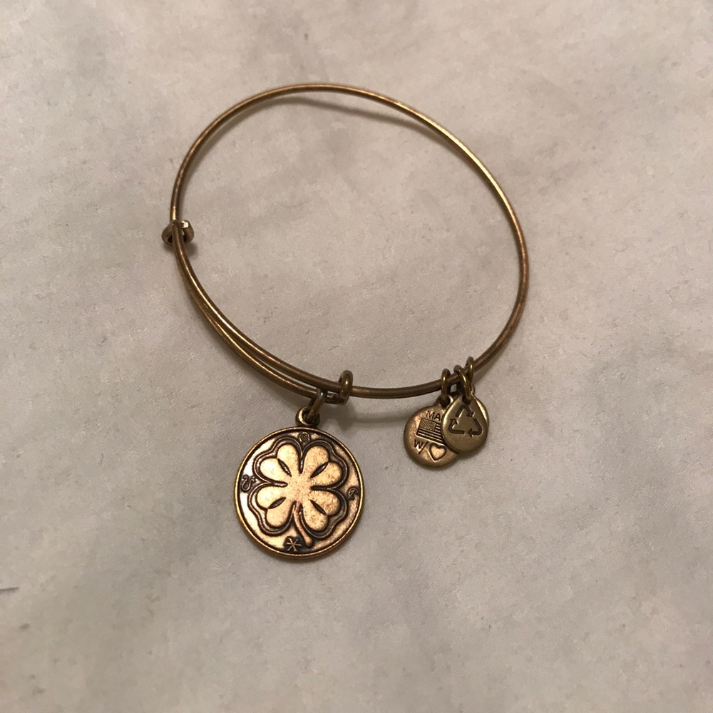 Alex and Ani bracelet