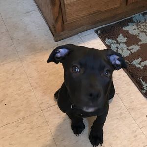 Meet your Posher, Kelani